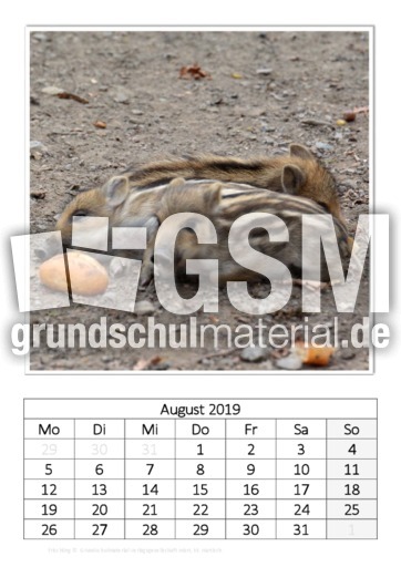 August_Frischling.pdf